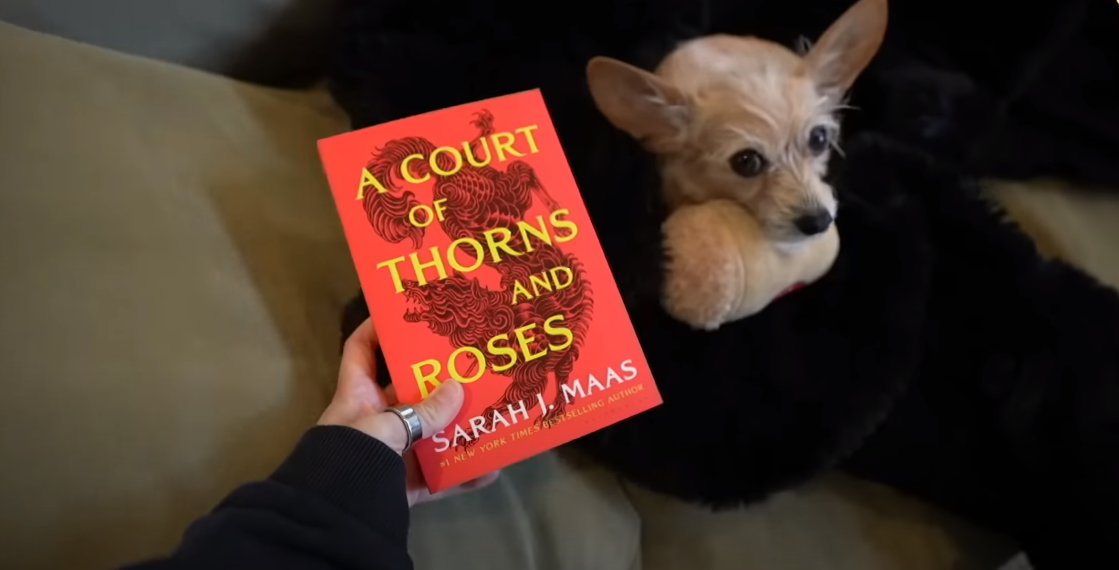 Hand holding a book titled "A Court of Thorns and Roses," accompanied by a dog